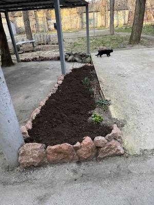 Прикрепленное изображение: photo_2024-03-07_14-51-53.jpg